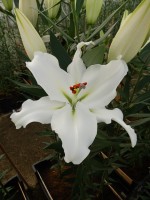 [5292 Pacific Ocean No01.JPG]